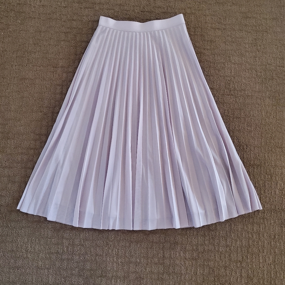 Pleated midi mesh skirt